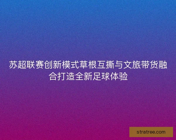 苏超联赛创新模式草根互撕与文旅带货融合打造全新足球体验