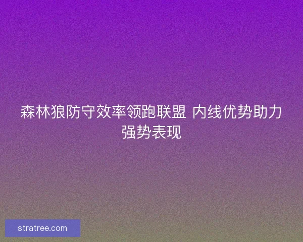 森林狼防守效率领跑联盟 内线优势助力强势表现